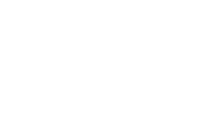 Platipus — провайдер EZCASH